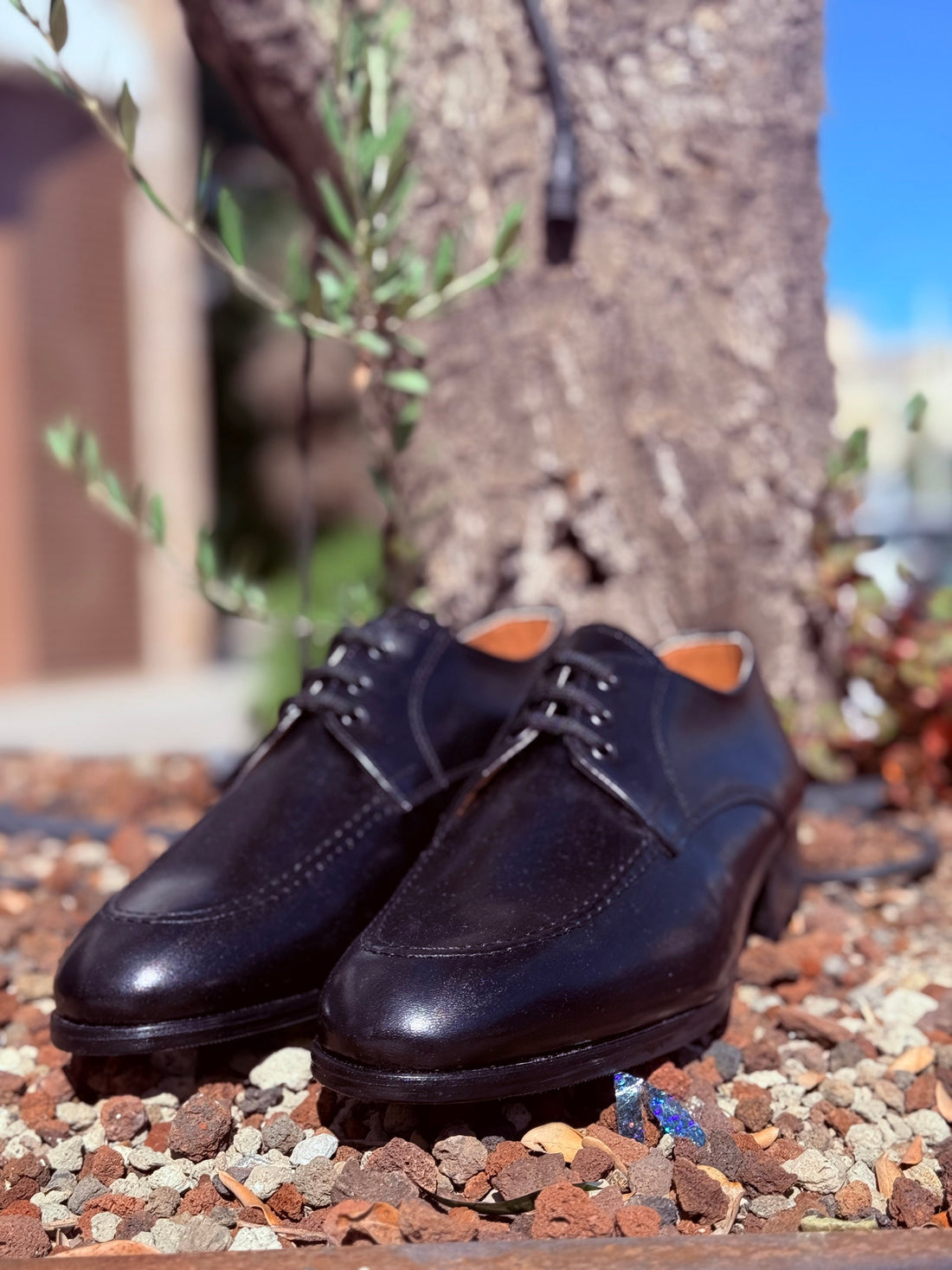 Shoes francesina
